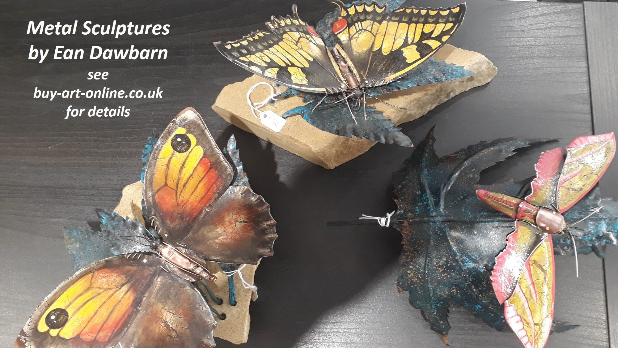 Metal Moth Sculptures Quay Art